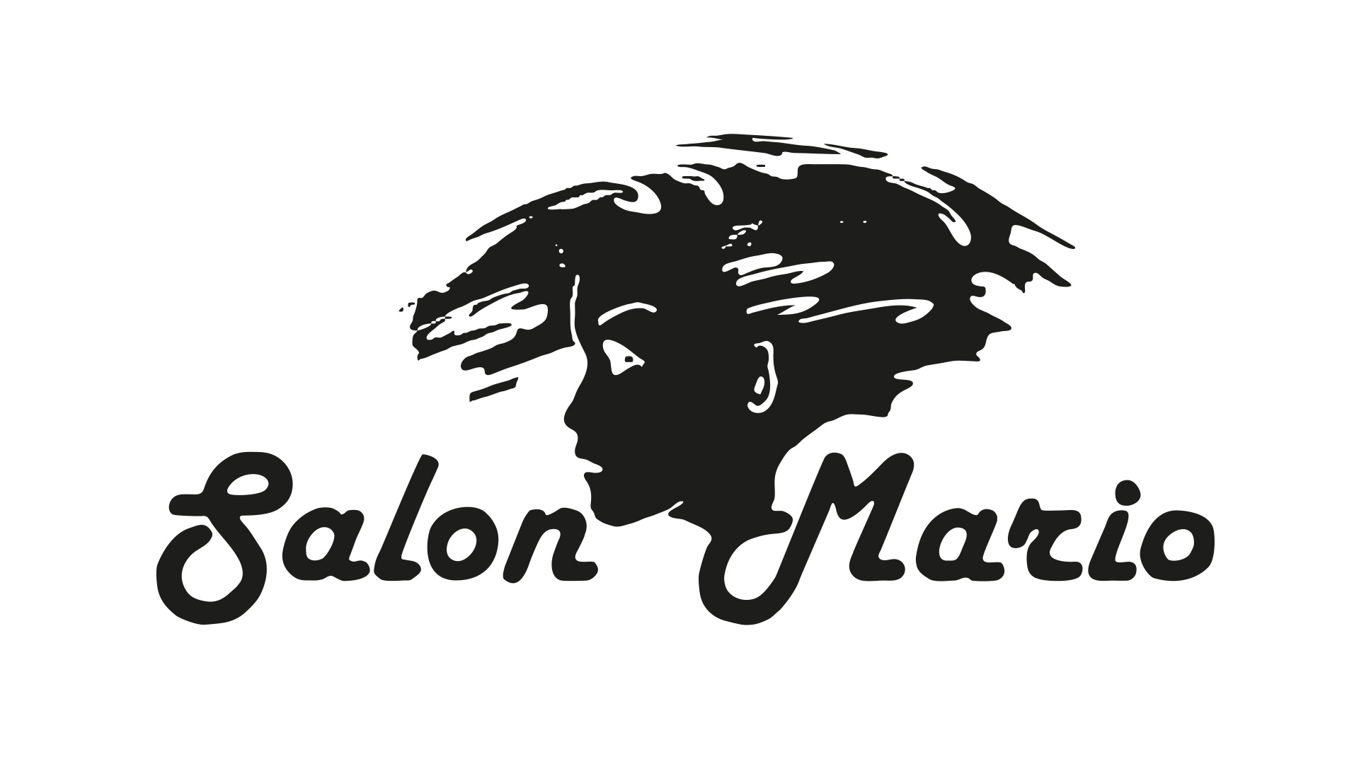Salon Mario Logo
