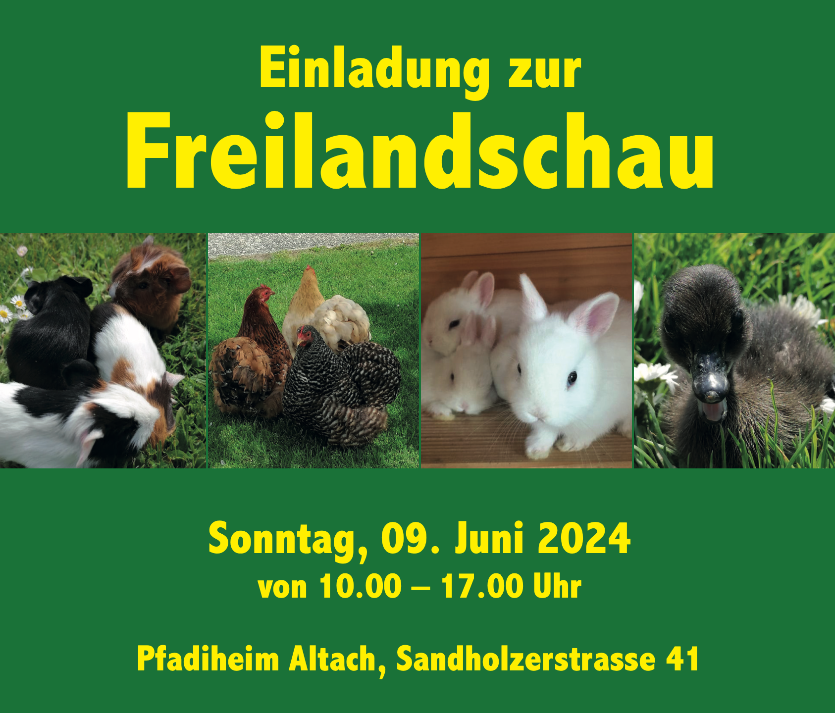 Freilandschau Kleintierzuchtverein